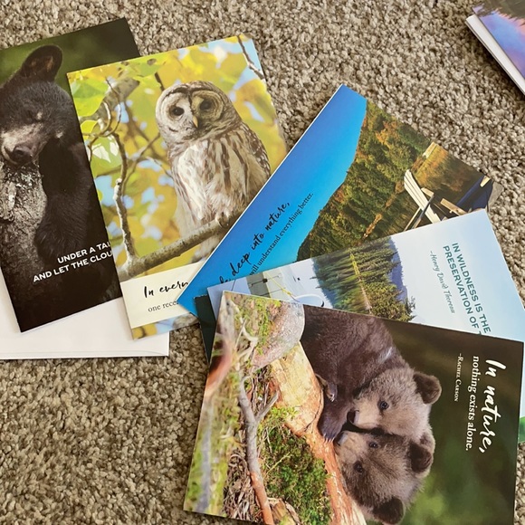 Greeting cards!!! Nature and sarcastic - Picture 10 of 14